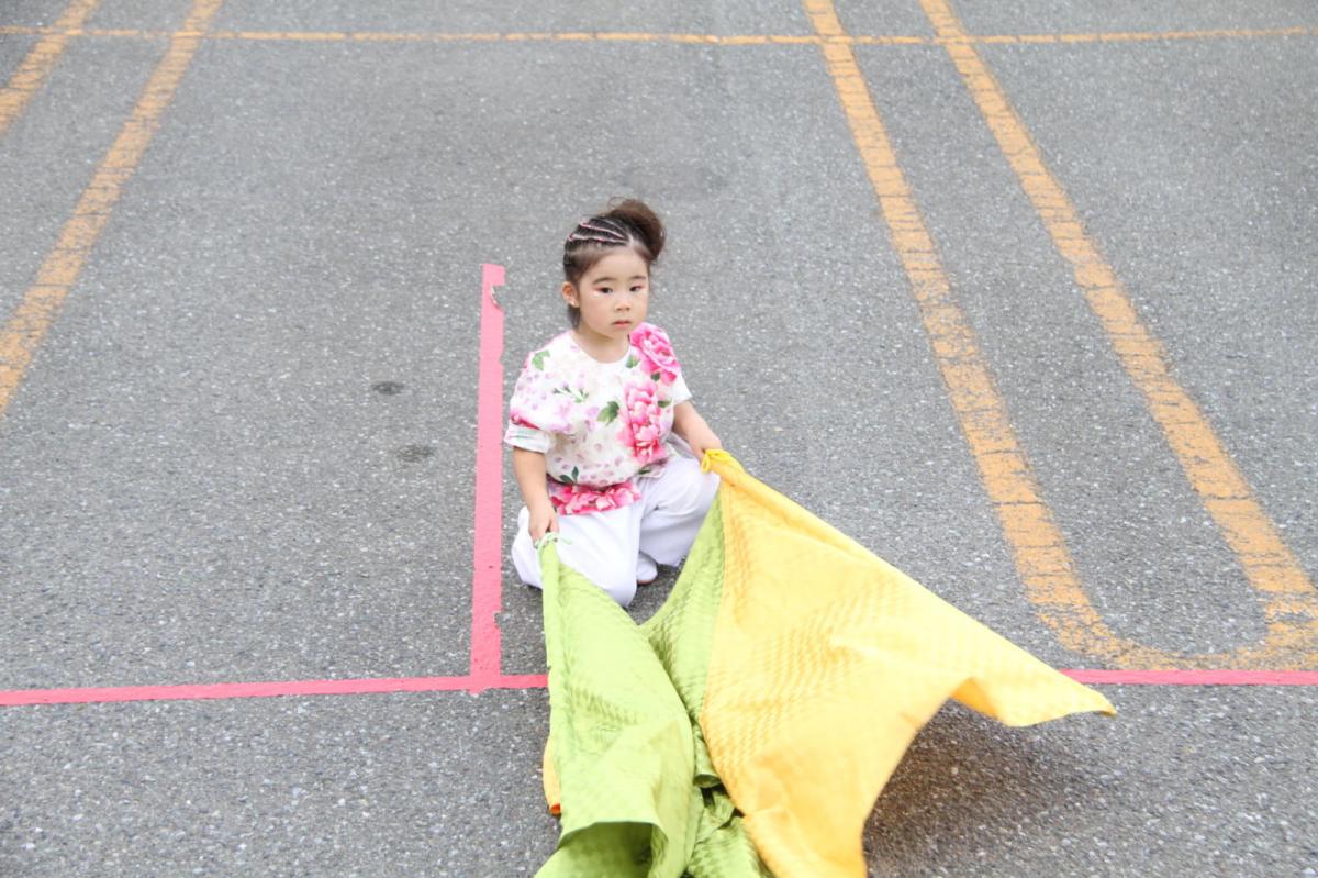 奥州前沢よさこいFesta12後編（奥州前沢よさこいフェスタ2016) 2016/07/10