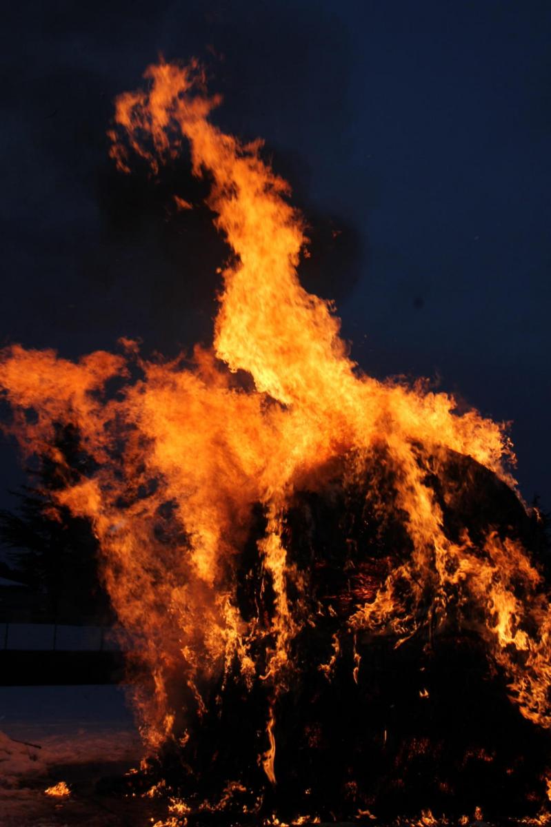 第28回 奥州・胆沢「全日本農はだてのつどい」2017 中編 2017/02/11