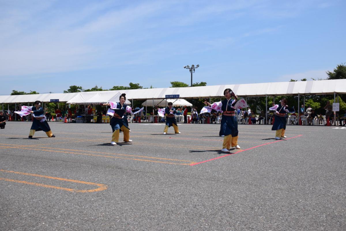 奥州前沢よさこいFesta13その1（奥州前沢よさこいフェスタ2017) 2017/07/09