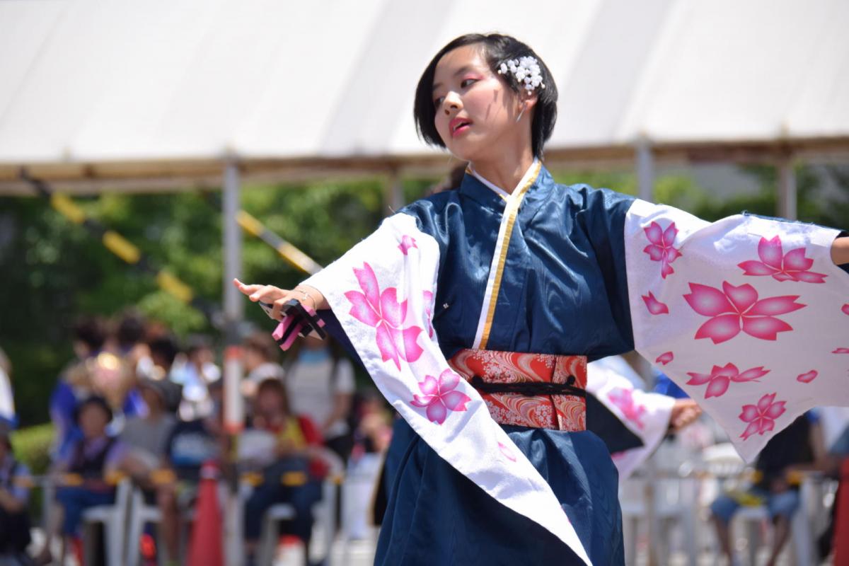 奥州前沢よさこいFesta13その1（奥州前沢よさこいフェスタ2017) 2017/07/09