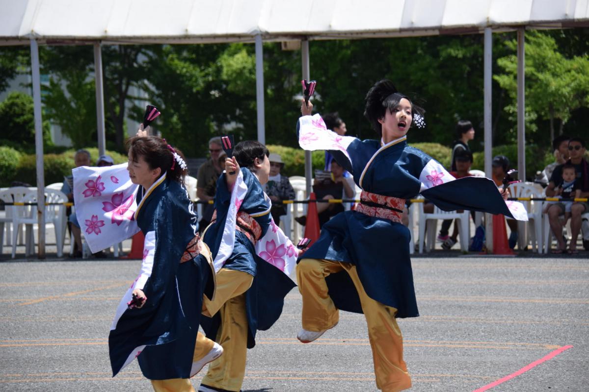 奥州前沢よさこいFesta13その1（奥州前沢よさこいフェスタ2017) 2017/07/09