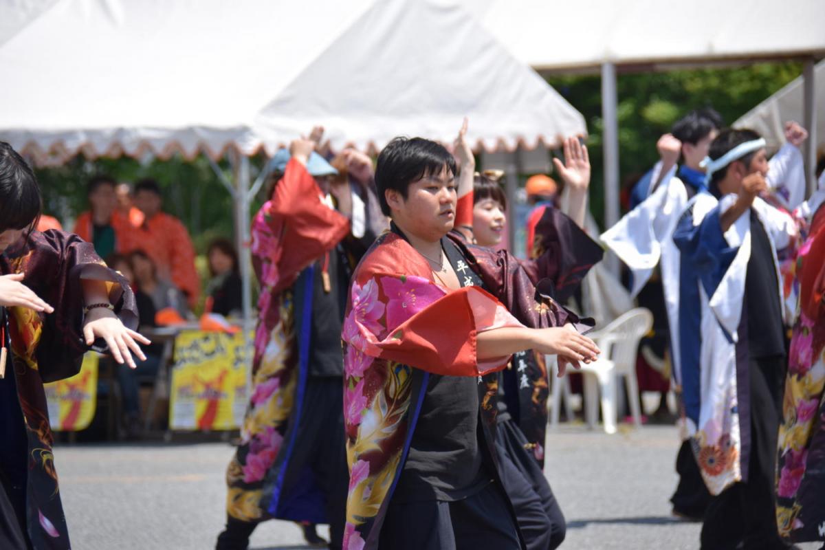 奥州前沢よさこいFesta13その1（奥州前沢よさこいフェスタ2017) 2017/07/09