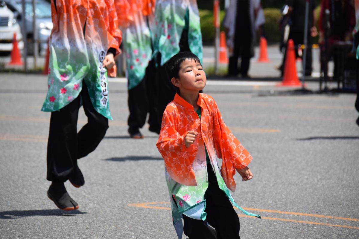 奥州前沢よさこいFesta13その1（奥州前沢よさこいフェスタ2017) 2017/07/09