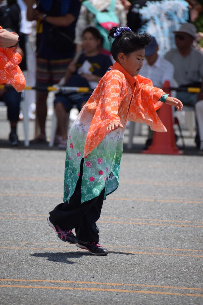 奥州前沢よさこいFesta13その1（奥州前沢よさこいフェスタ2017) 2017/07/09