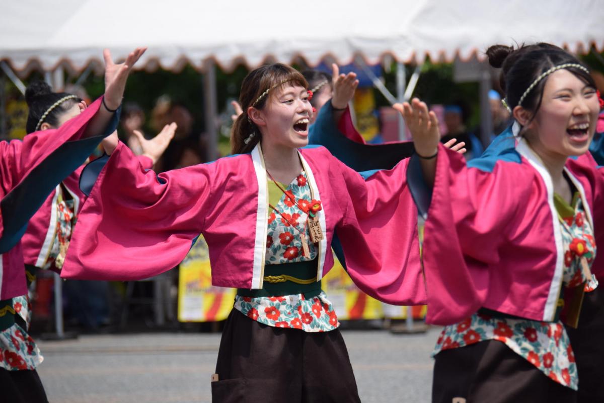 奥州前沢よさこいFesta13その1（奥州前沢よさこいフェスタ2017) 2017/07/09