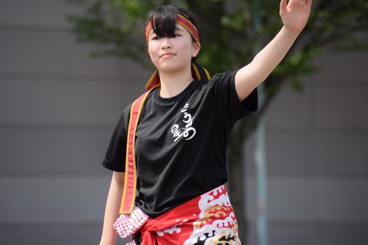 奥州前沢よさこいFesta13その1（奥州前沢よさこいフェスタ2017) 2017/07/09