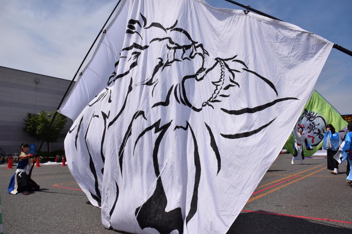 奥州前沢よさこいFesta13その1（奥州前沢よさこいフェスタ2017) 2017/07/09