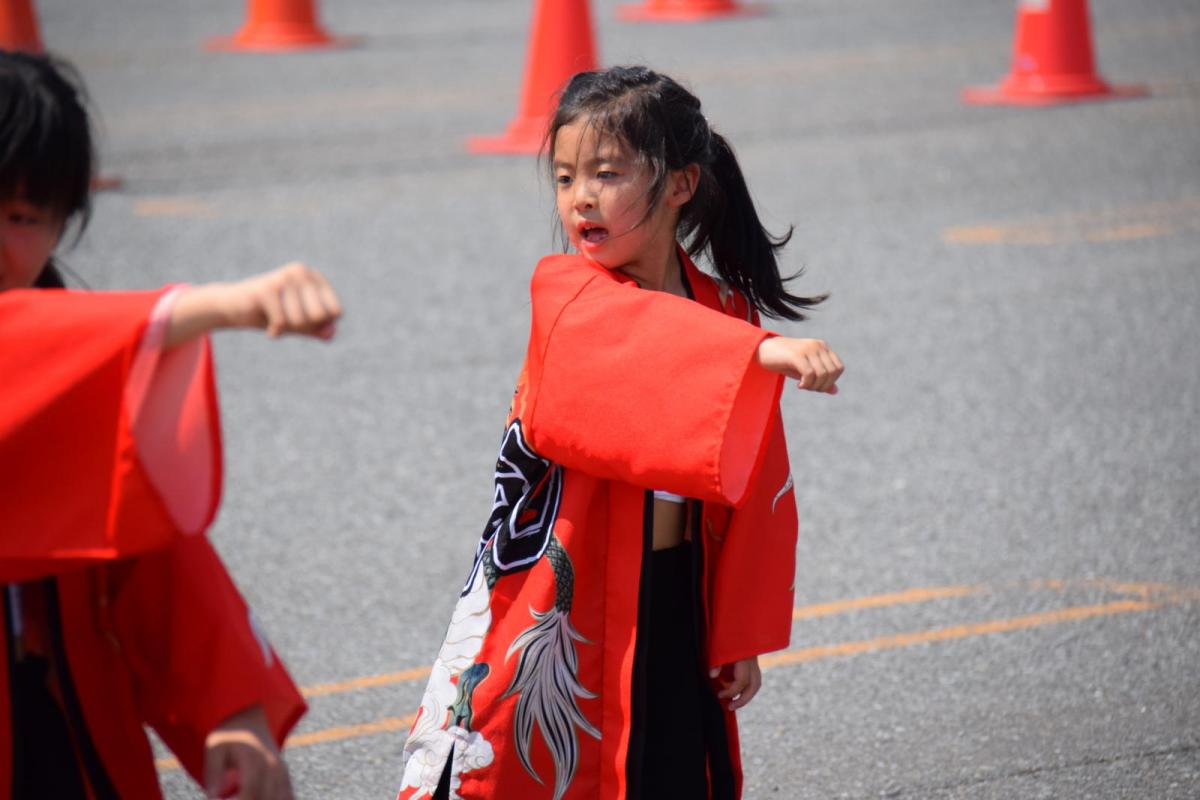 奥州前沢よさこいFesta13その1（奥州前沢よさこいフェスタ2017) 2017/07/09