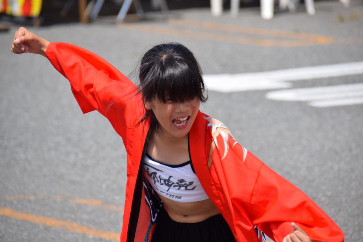 奥州前沢よさこいFesta13その1（奥州前沢よさこいフェスタ2017) 2017/07/09