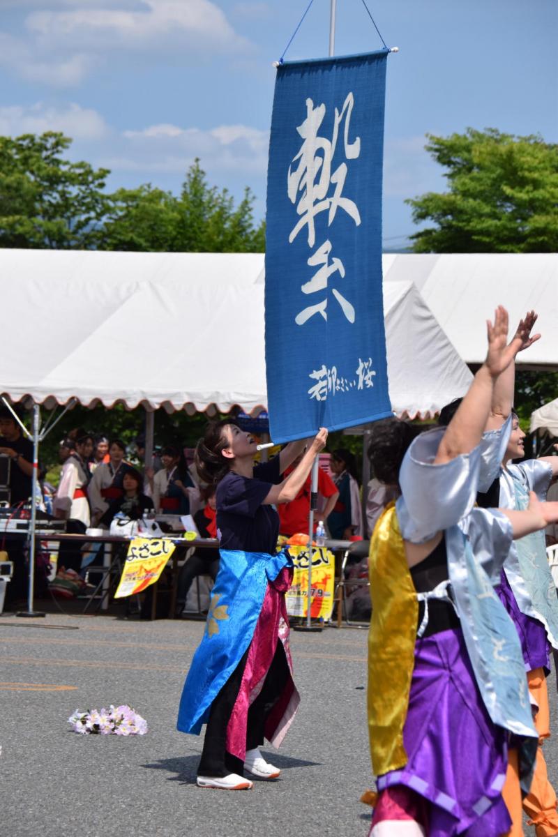 奥州前沢よさこいFesta13その1（奥州前沢よさこいフェスタ2017) 2017/07/09