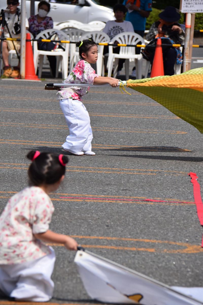 奥州前沢よさこいFesta13その1（奥州前沢よさこいフェスタ2017) 2017/07/09