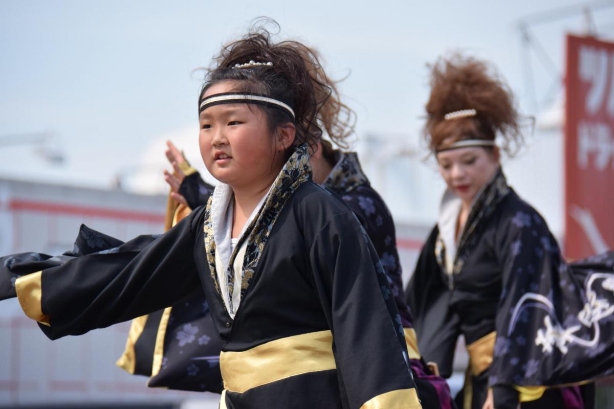 奥州前沢よさこいFesta13その1（奥州前沢よさこいフェスタ2017) 2017/07/09