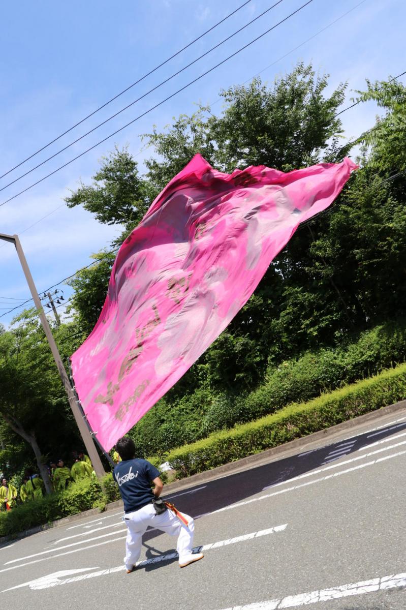 奥州前沢よさこいFesta13その2（奥州前沢よさこいフェスタ2017) 2017/07/09