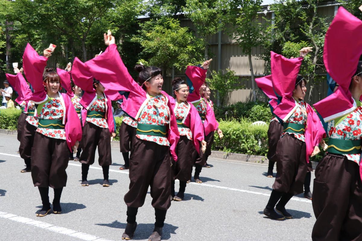 奥州前沢よさこいFesta13その2（奥州前沢よさこいフェスタ2017) 2017/07/09
