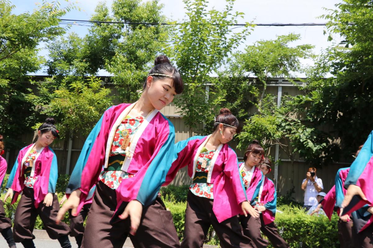 奥州前沢よさこいFesta13その2（奥州前沢よさこいフェスタ2017) 2017/07/09