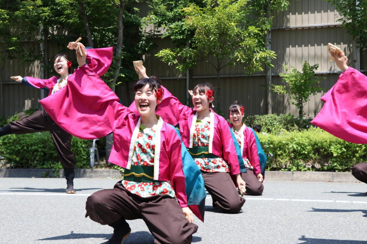 奥州前沢よさこいFesta13その2（奥州前沢よさこいフェスタ2017) 2017/07/09