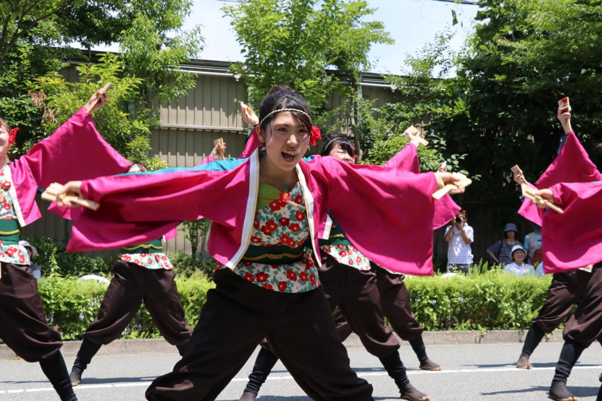 奥州前沢よさこいFesta13その2（奥州前沢よさこいフェスタ2017) 2017/07/09