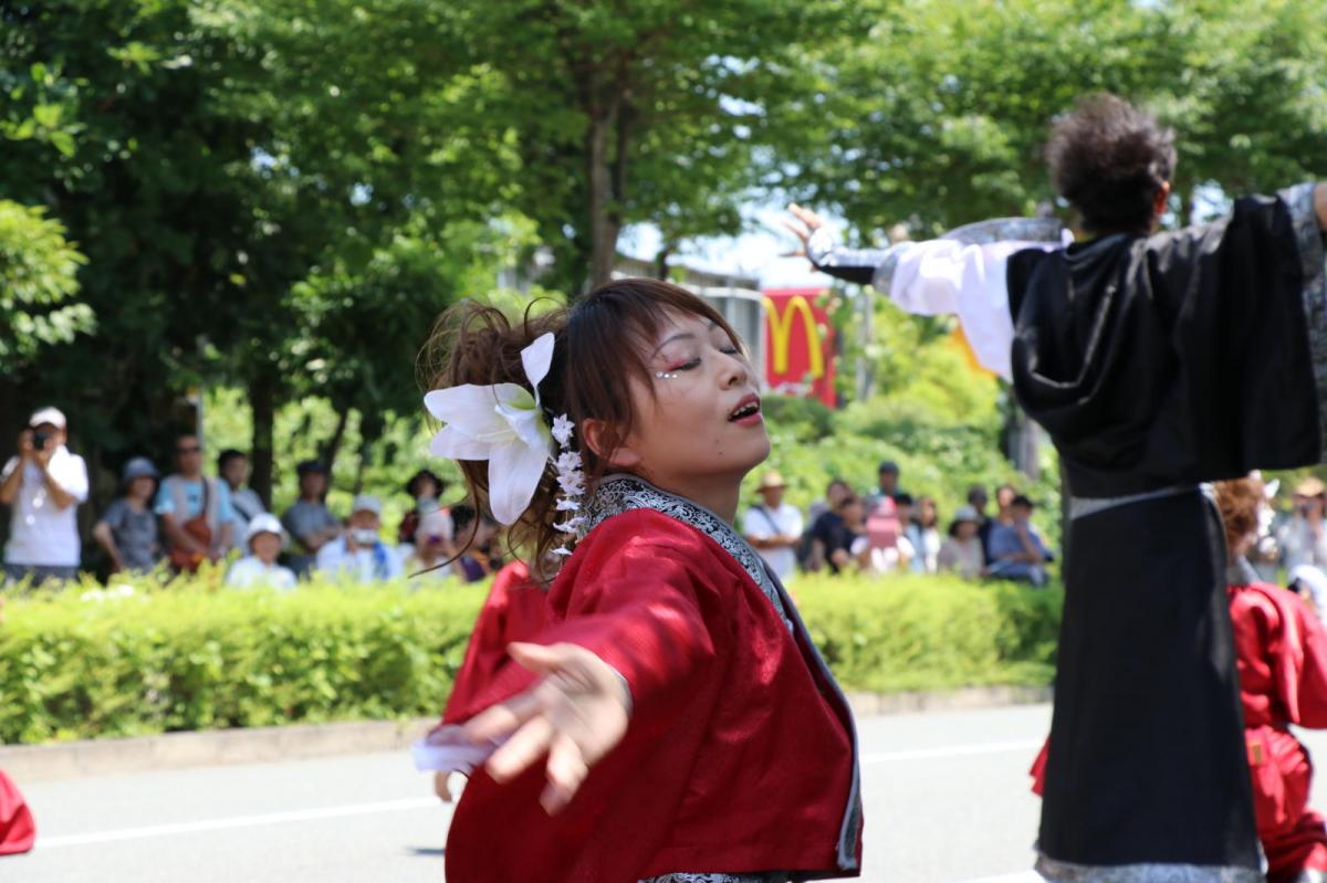 奥州前沢よさこいFesta13その2（奥州前沢よさこいフェスタ2017) 2017/07/09