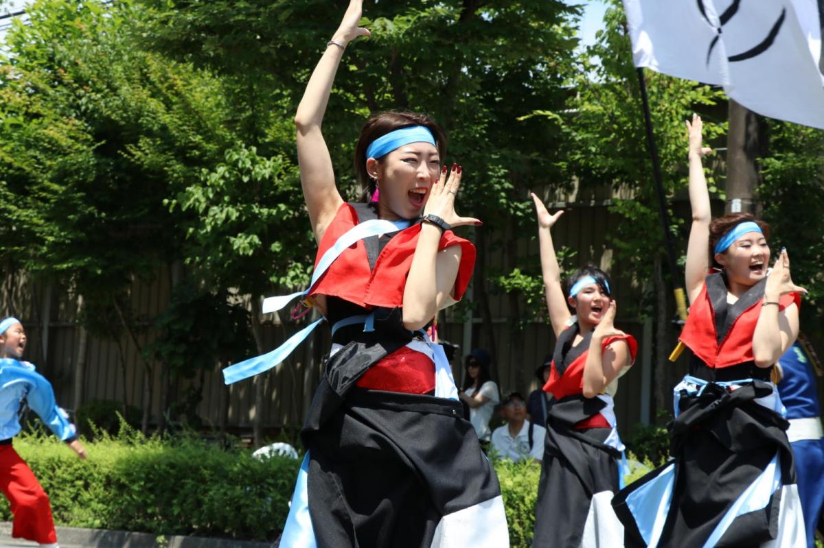 奥州前沢よさこいFesta13その2（奥州前沢よさこいフェスタ2017) 2017/07/09