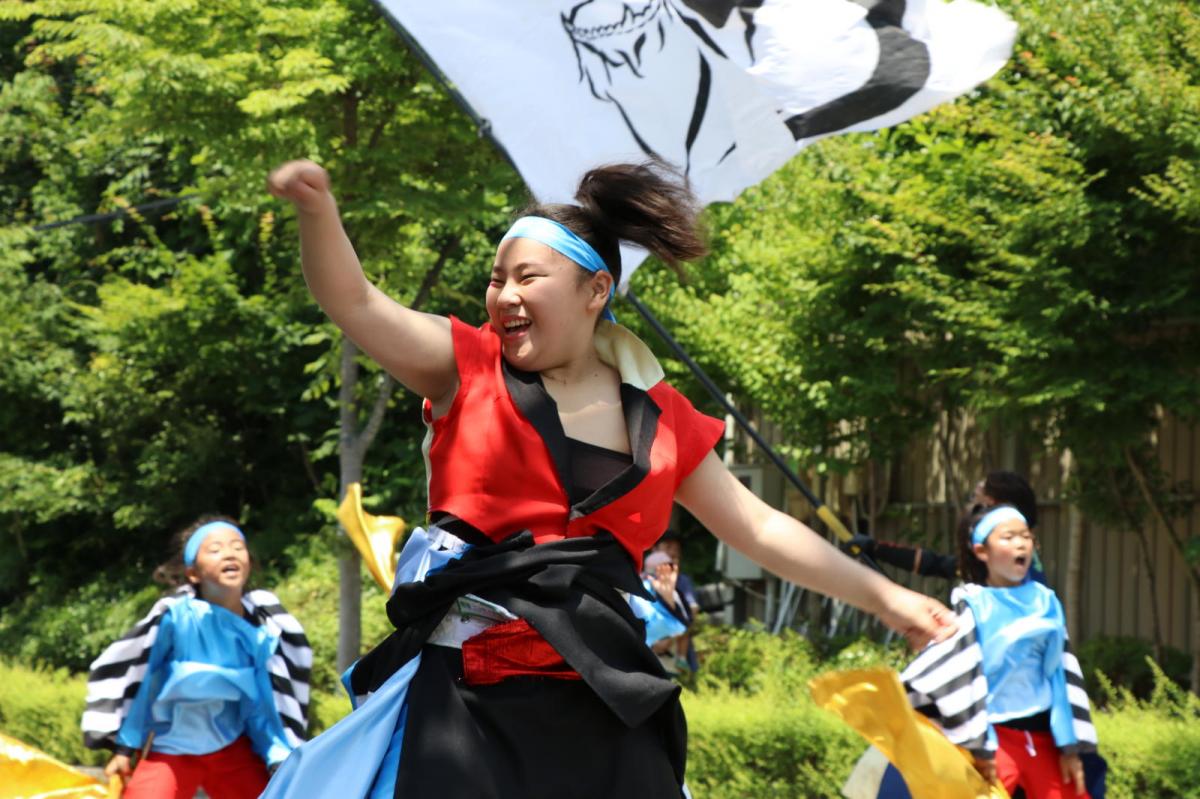 奥州前沢よさこいFesta13その2（奥州前沢よさこいフェスタ2017) 2017/07/09