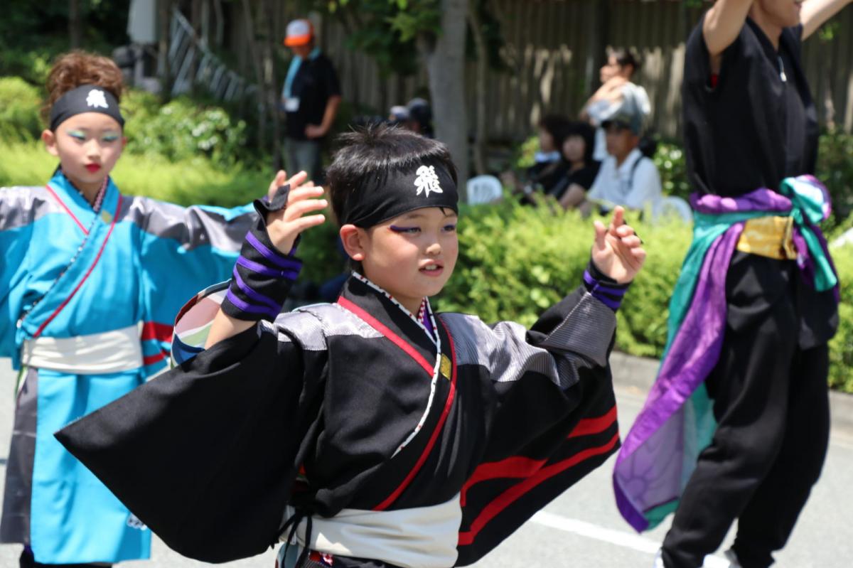 奥州前沢よさこいFesta13その2（奥州前沢よさこいフェスタ2017) 2017/07/09