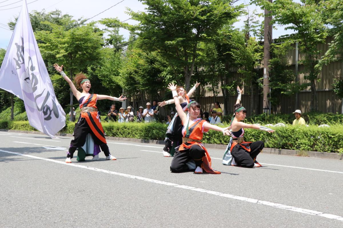 奥州前沢よさこいFesta13その2（奥州前沢よさこいフェスタ2017) 2017/07/09