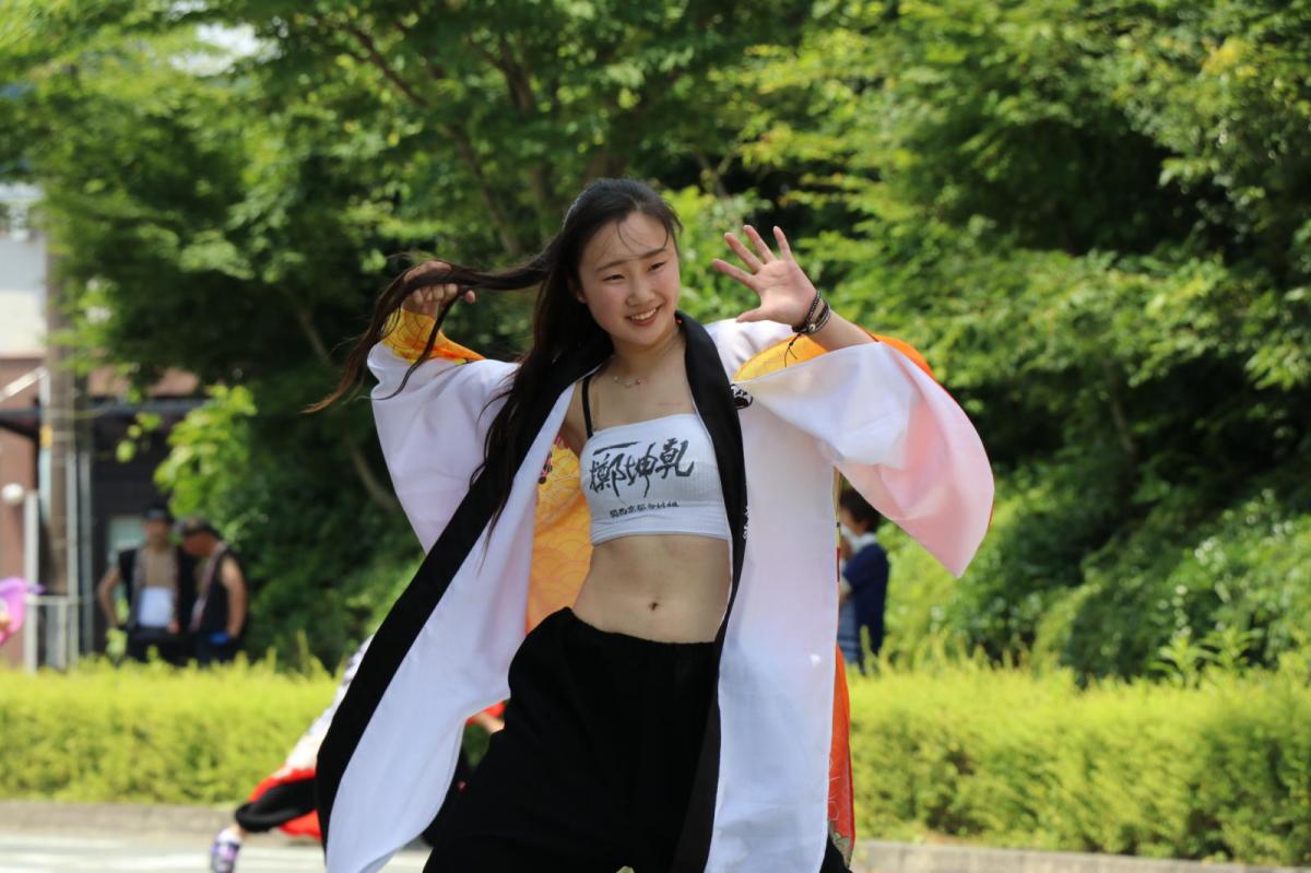 奥州前沢よさこいFesta13その2（奥州前沢よさこいフェスタ2017) 2017/07/09