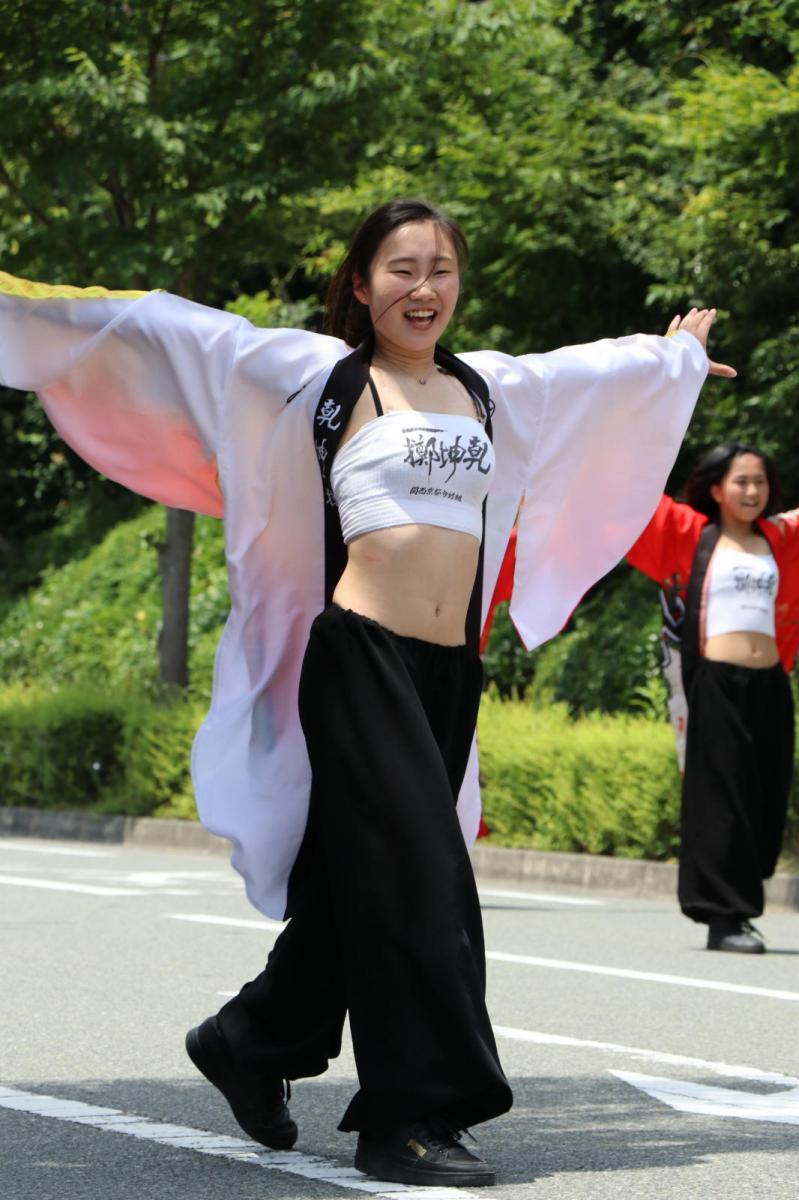 奥州前沢よさこいFesta13その2（奥州前沢よさこいフェスタ2017) 2017/07/09