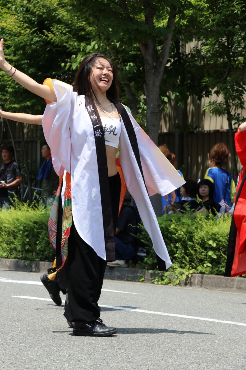 奥州前沢よさこいFesta13その2（奥州前沢よさこいフェスタ2017) 2017/07/09
