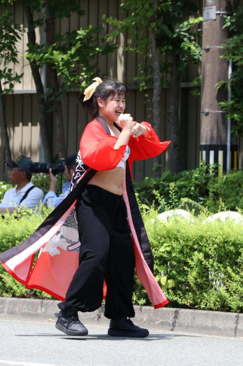 奥州前沢よさこいFesta13その2（奥州前沢よさこいフェスタ2017) 2017/07/09