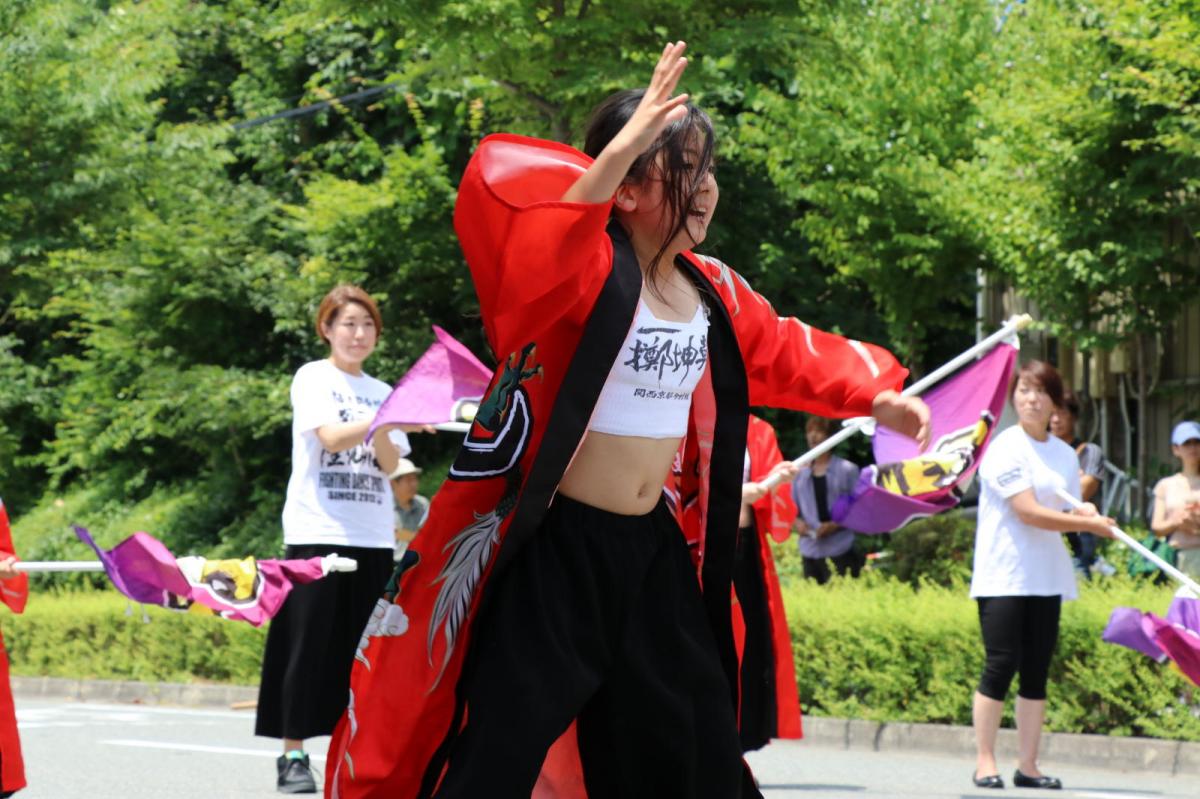 奥州前沢よさこいFesta13その2（奥州前沢よさこいフェスタ2017) 2017/07/09