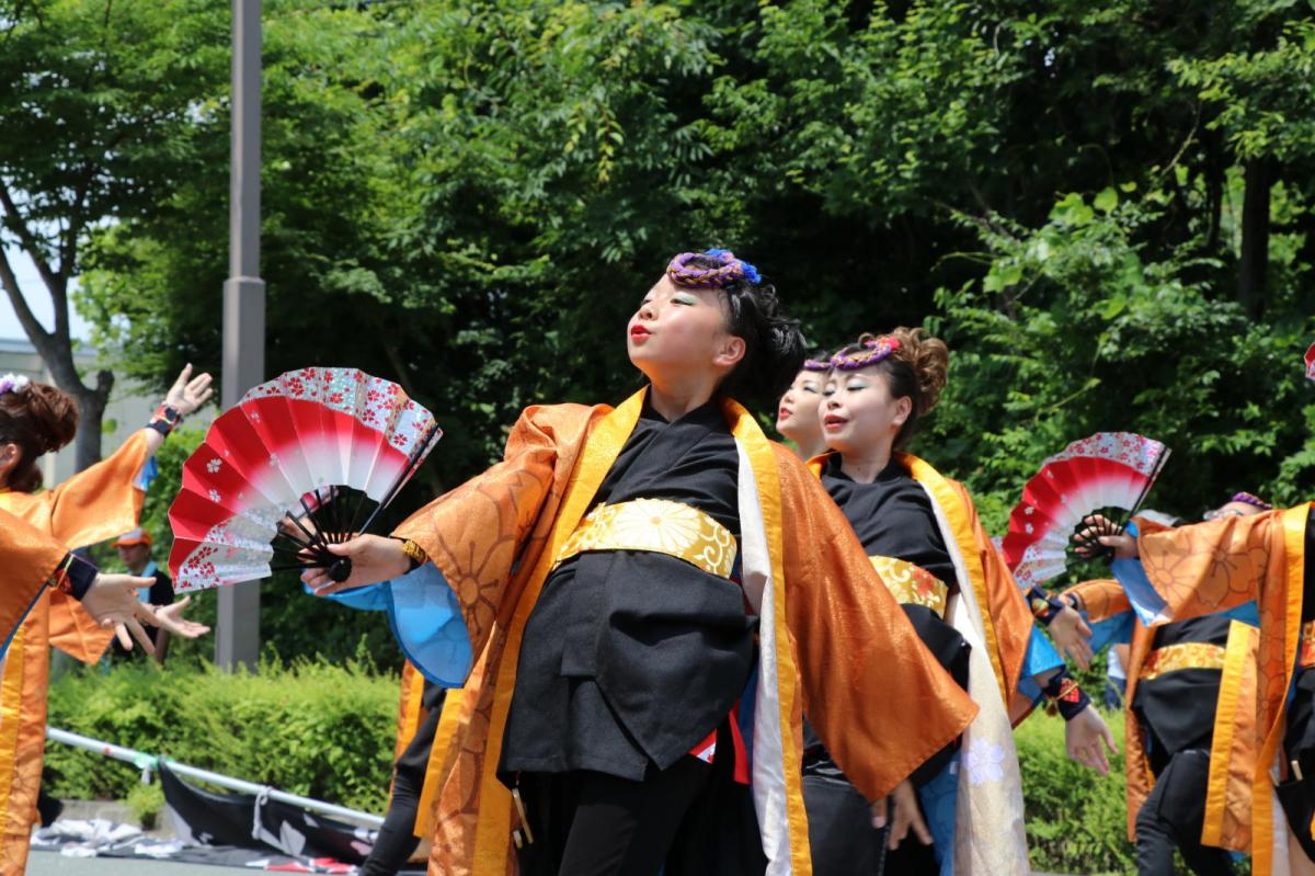 奥州前沢よさこいFesta13その2（奥州前沢よさこいフェスタ2017) 2017/07/09