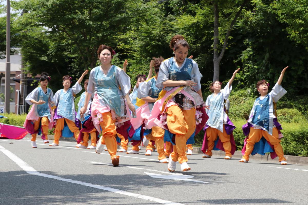 奥州前沢よさこいFesta13その2（奥州前沢よさこいフェスタ2017) 2017/07/09