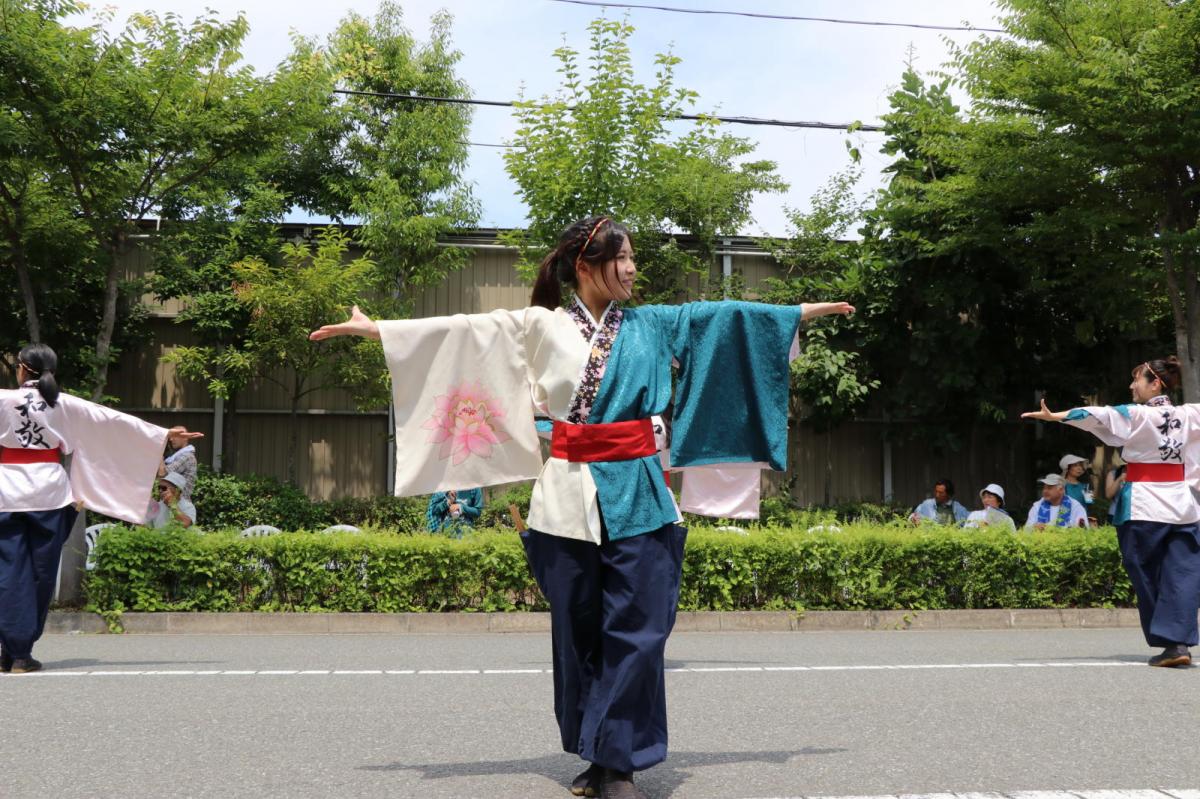 奥州前沢よさこいFesta13その2（奥州前沢よさこいフェスタ2017) 2017/07/09