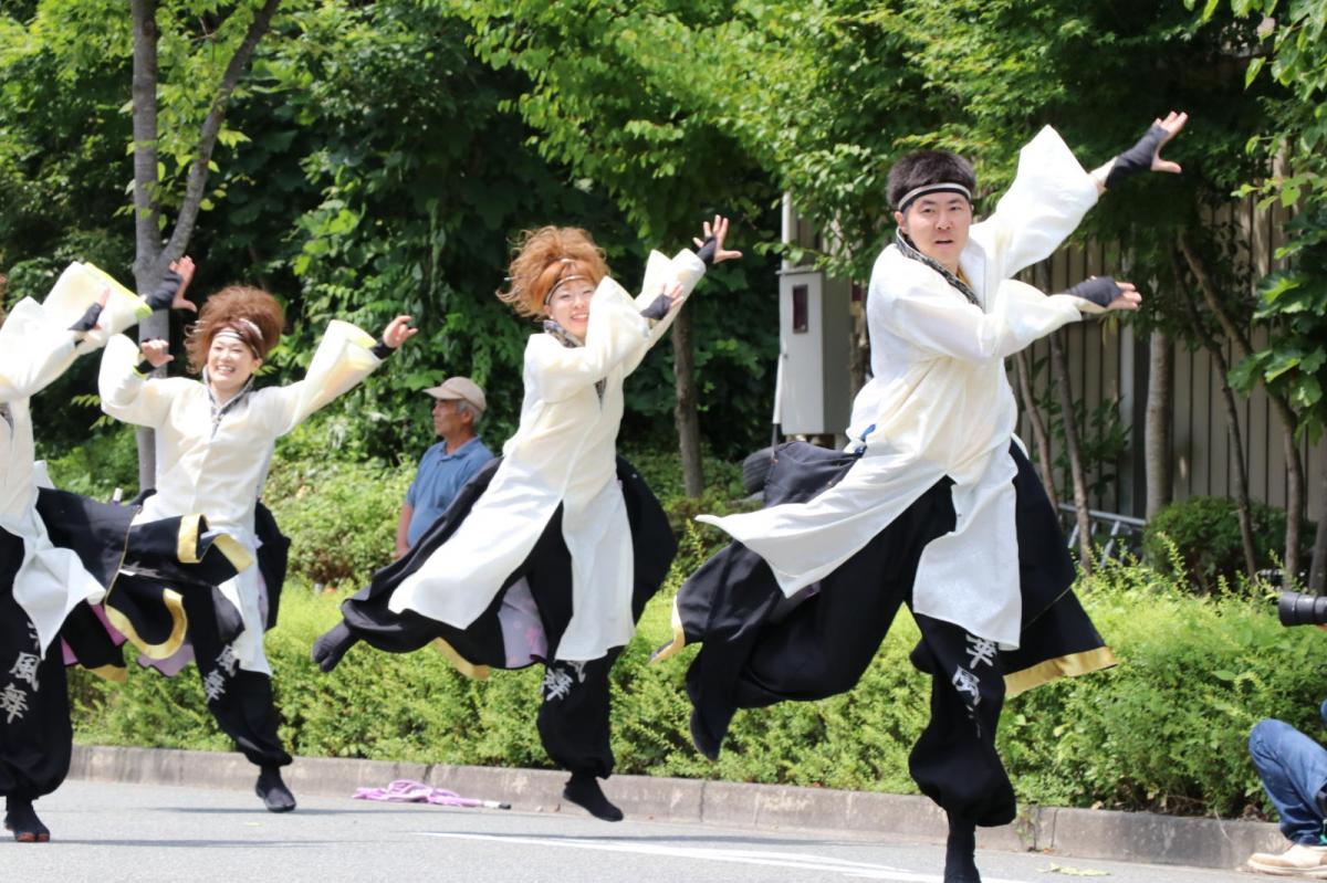 奥州前沢よさこいFesta13その2（奥州前沢よさこいフェスタ2017) 2017/07/09