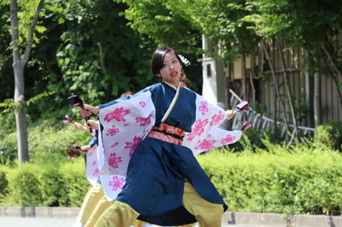 奥州前沢よさこいFesta13その2（奥州前沢よさこいフェスタ2017) 2017/07/09