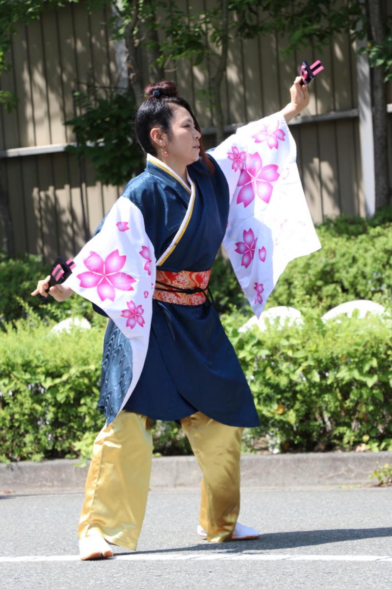 奥州前沢よさこいFesta13その2（奥州前沢よさこいフェスタ2017) 2017/07/09