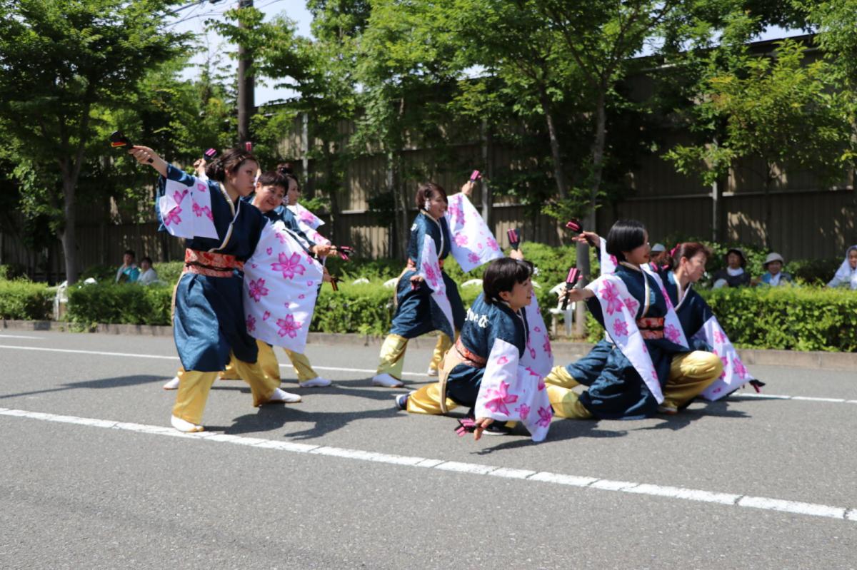 奥州前沢よさこいFesta13その2（奥州前沢よさこいフェスタ2017) 2017/07/09