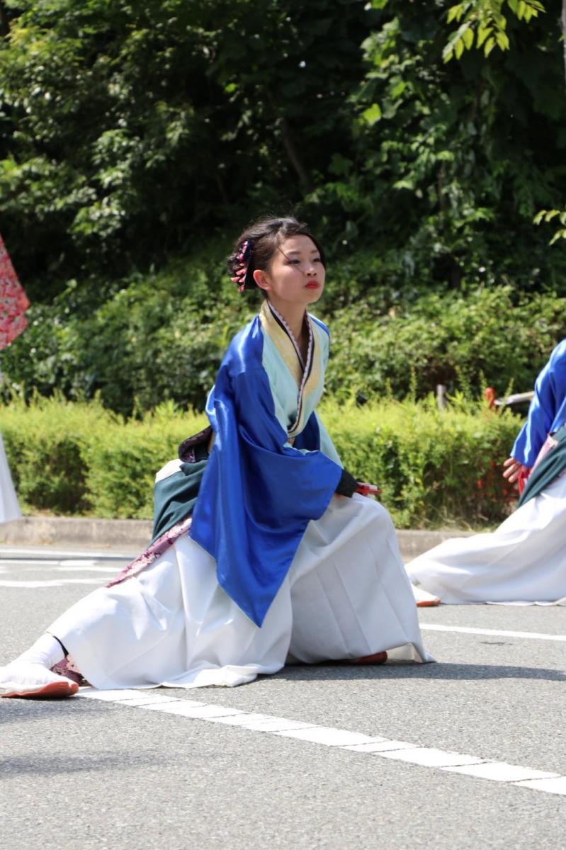 奥州前沢よさこいFesta13その2（奥州前沢よさこいフェスタ2017) 2017/07/09