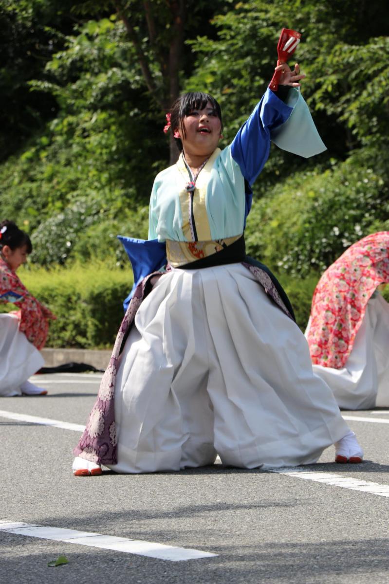 奥州前沢よさこいFesta13その2（奥州前沢よさこいフェスタ2017) 2017/07/09