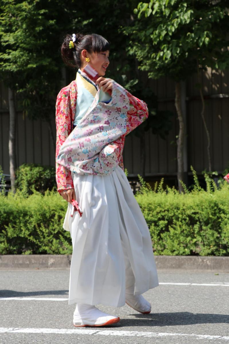 奥州前沢よさこいFesta13その2（奥州前沢よさこいフェスタ2017) 2017/07/09