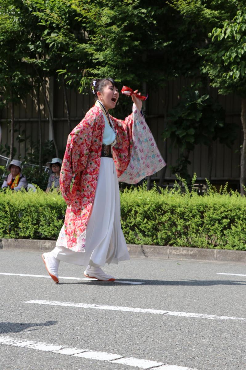 奥州前沢よさこいFesta13その2（奥州前沢よさこいフェスタ2017) 2017/07/09