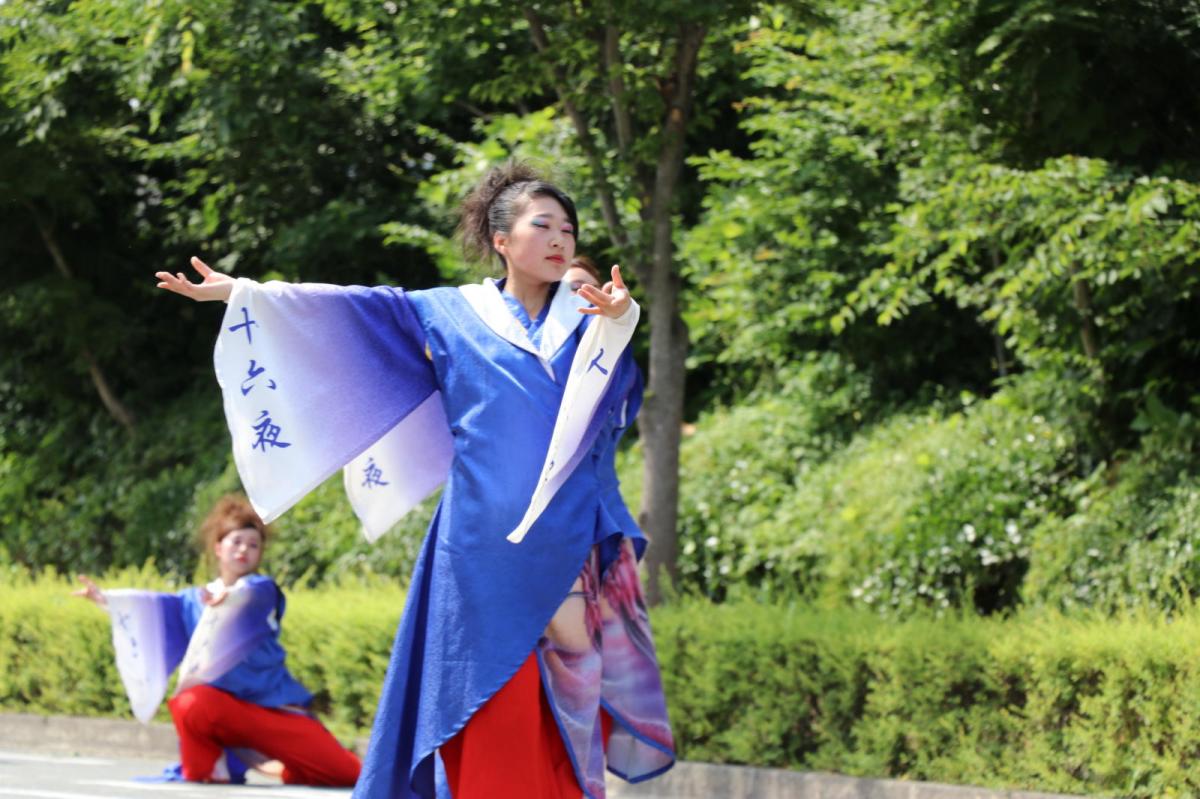 奥州前沢よさこいFesta13その2（奥州前沢よさこいフェスタ2017) 2017/07/09