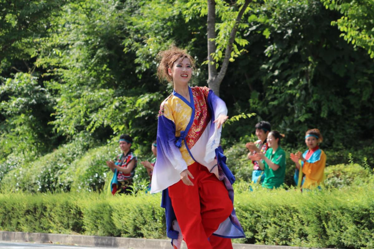 奥州前沢よさこいFesta13その2（奥州前沢よさこいフェスタ2017) 2017/07/09