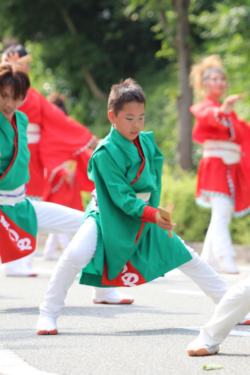 奥州前沢よさこいFesta13その2（奥州前沢よさこいフェスタ2017) 2017/07/09