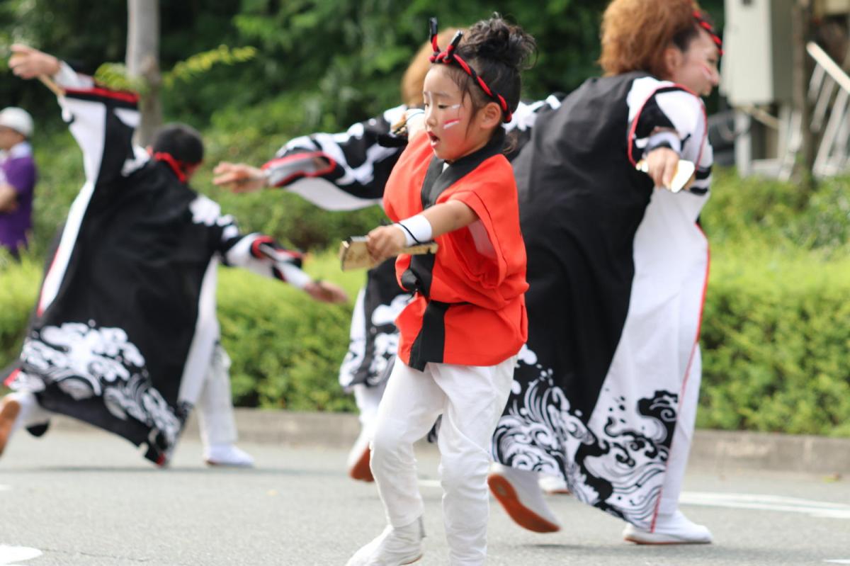 奥州前沢よさこいFesta13その2（奥州前沢よさこいフェスタ2017) 2017/07/09