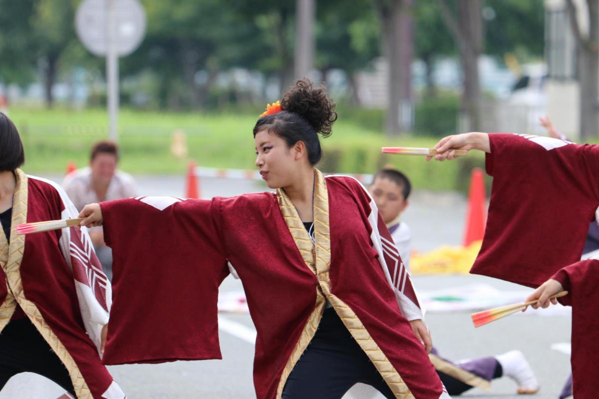 奥州前沢よさこいFesta13その2（奥州前沢よさこいフェスタ2017) 2017/07/09