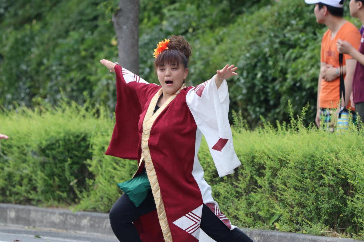 奥州前沢よさこいFesta13その2（奥州前沢よさこいフェスタ2017) 2017/07/09