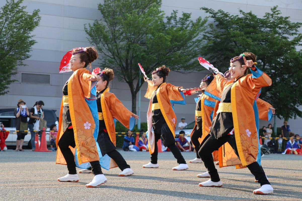 奥州前沢よさこいFesta13その2（奥州前沢よさこいフェスタ2017) 2017/07/09