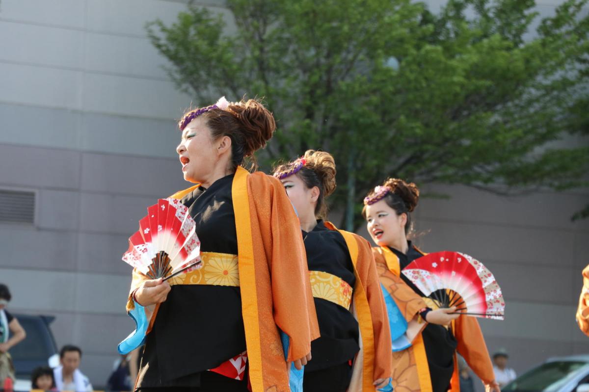 奥州前沢よさこいFesta13その2（奥州前沢よさこいフェスタ2017) 2017/07/09